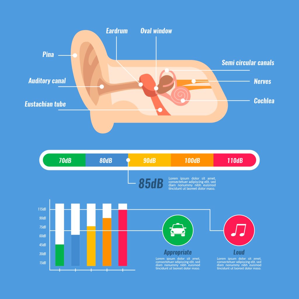 Hearing Health image